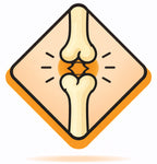 <b>Bones & Joints</b>